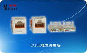 上海明西网络科技有限公司信息面板产品列表及网络技术咨询服务概览